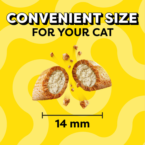 ContentPlus Image 2