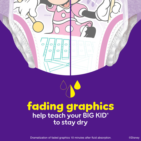 ContentPlus Image 7