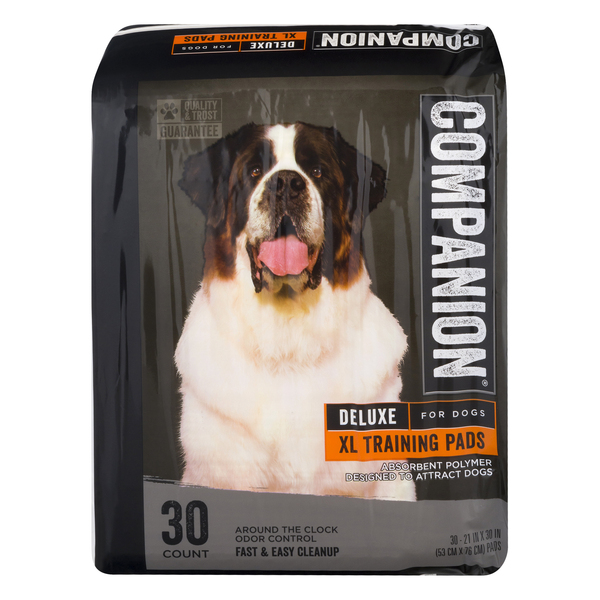 Xl training pads online