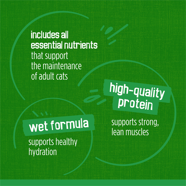 ContentPlus Image 7