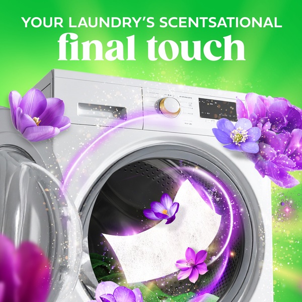 ContentPlus Image 4