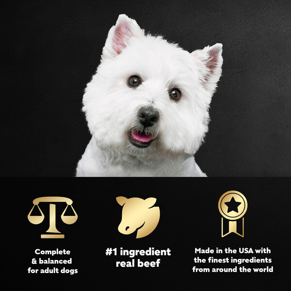 ContentPlus Image 2