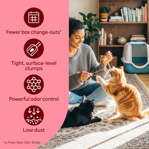 ContentPlus Image 6