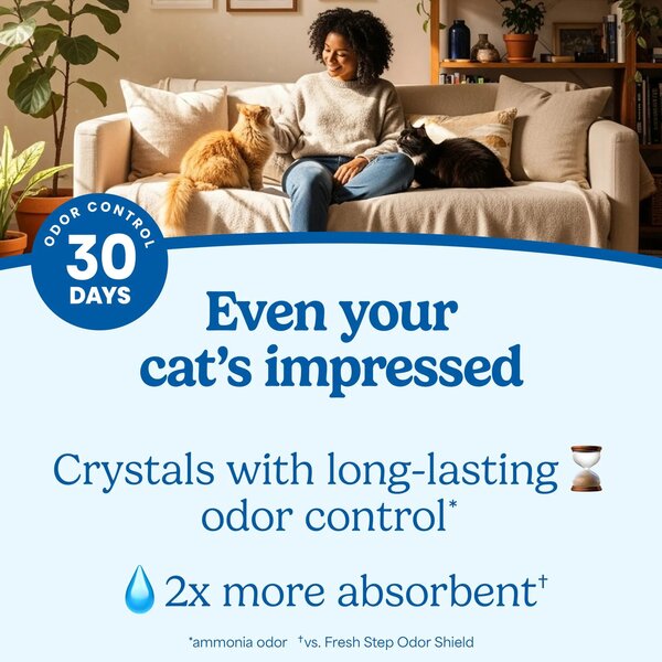 ContentPlus Image 2