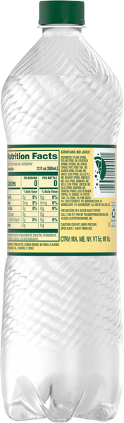 Back of Pack