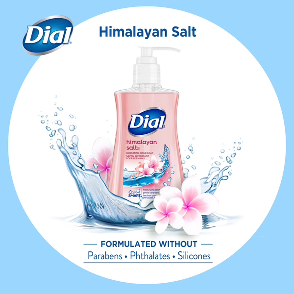 Dial Hydrating Hand Soap Himalayan Salt Pump 7.5 oz btl GIANT
