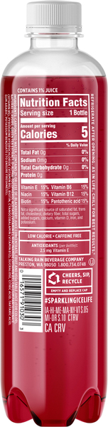 Back of Pack