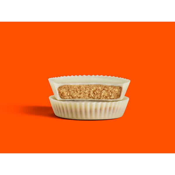 ContentPlus Image 1