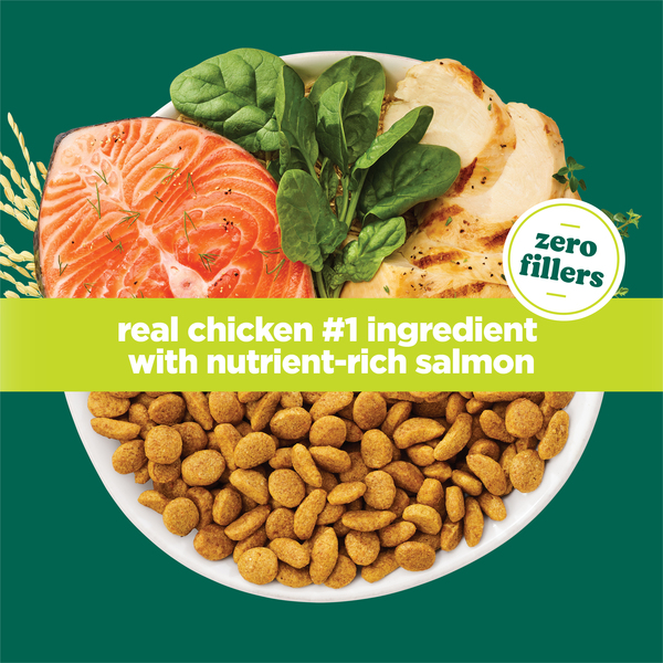 ContentPlus Image 4
