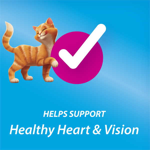 ContentPlus Image 7