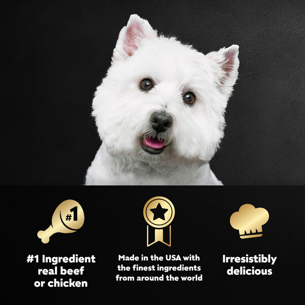 ContentPlus Image 3