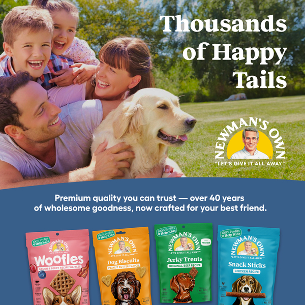 ContentPlus Image 5