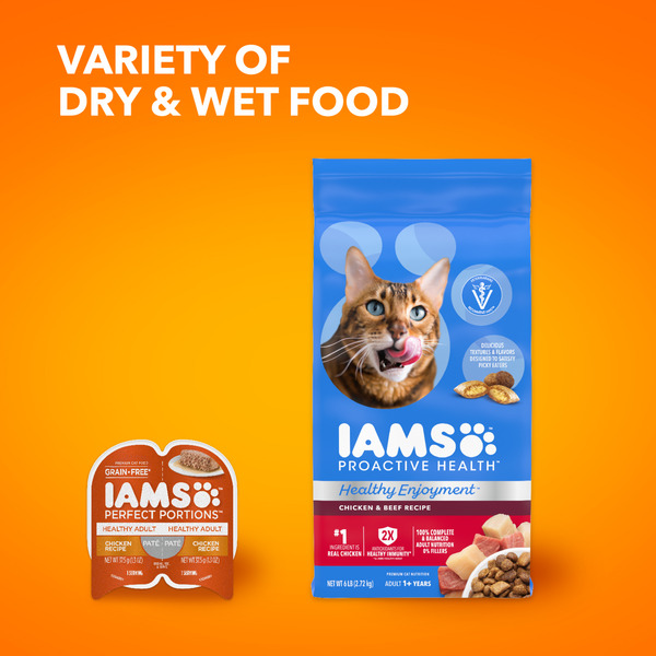 IAMS Proactive Health Healthy Enjoyment Chicken Beef Adult Dry Cat Food 6 lb bag Stop Shop
