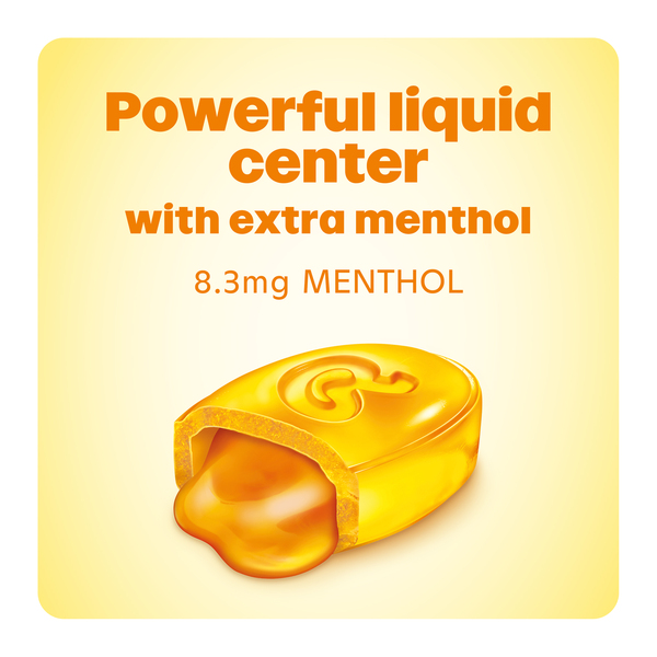 ContentPlus Image 4