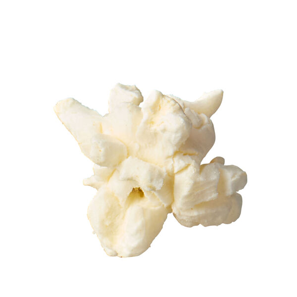 ContentPlus Image 1