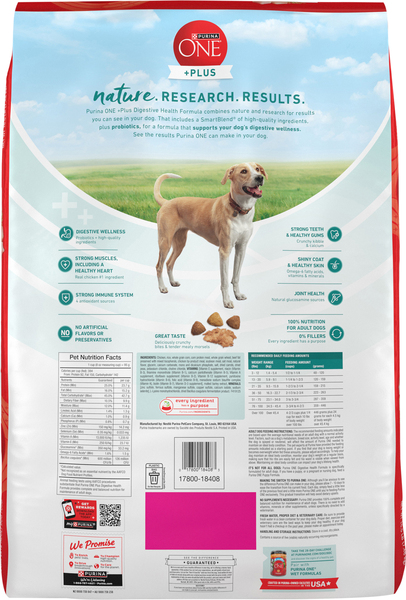 Back of Pack