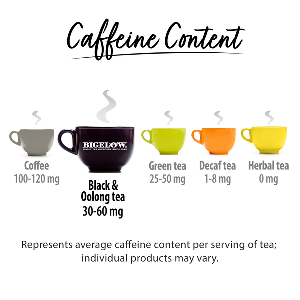 ContentPlus Image 4