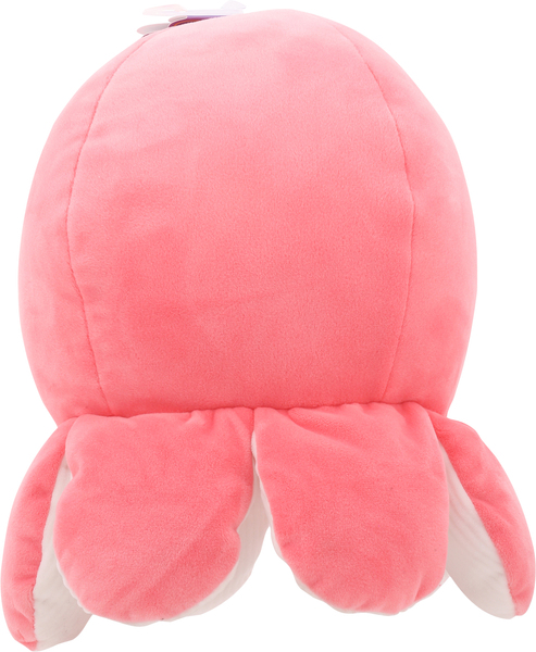 Back of Pack