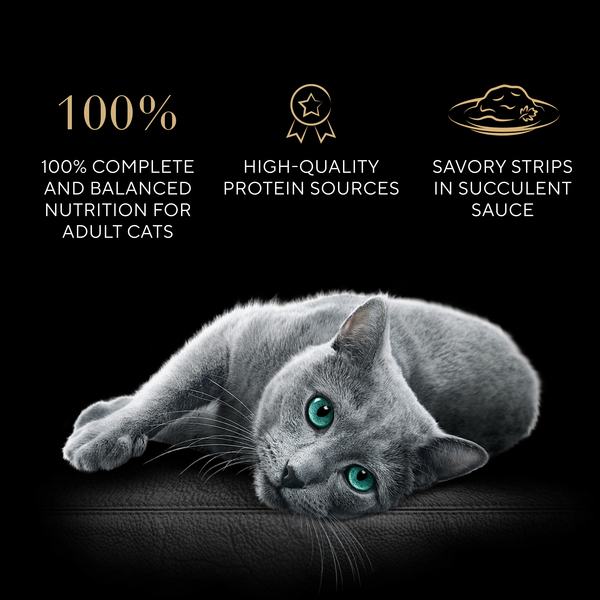 ContentPlus Image 1