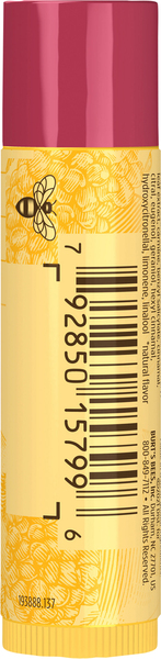 Back of Pack