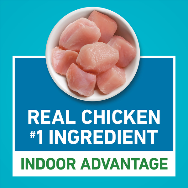 ContentPlus Image 4