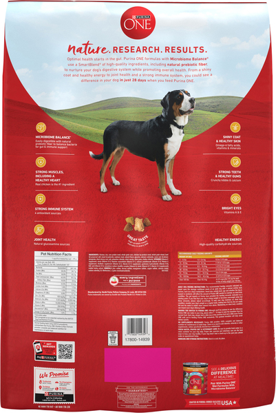 Back of Pack
