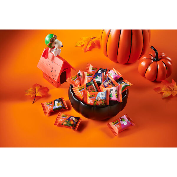 ContentPlus Image 3