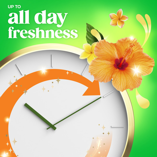 ContentPlus Image 4