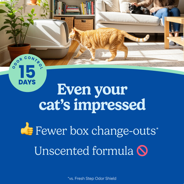 ContentPlus Image 2