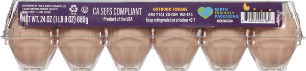 Back of Pack