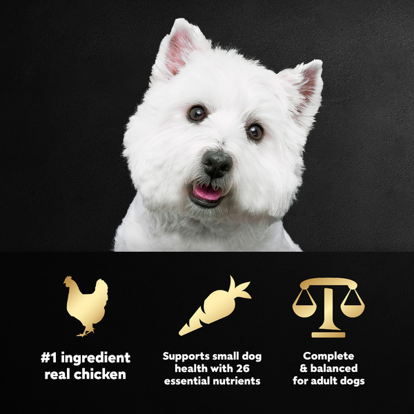 ContentPlus Image 4