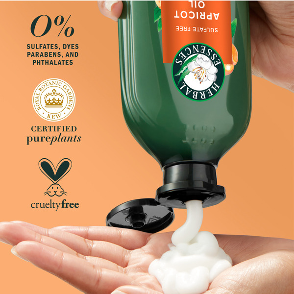 ContentPlus Image 4
