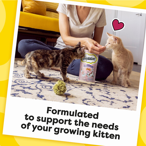 Temptations for kittens top