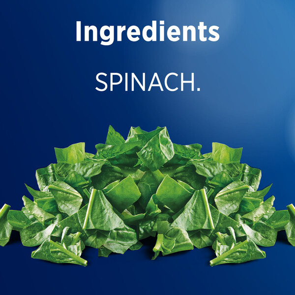 ContentPlus Image 4
