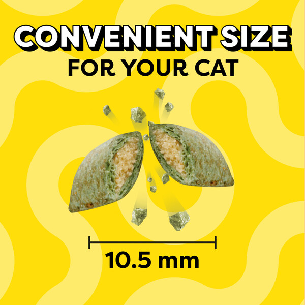 ContentPlus Image 2