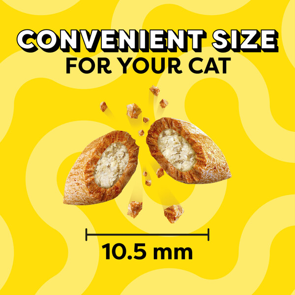 ContentPlus Image 2