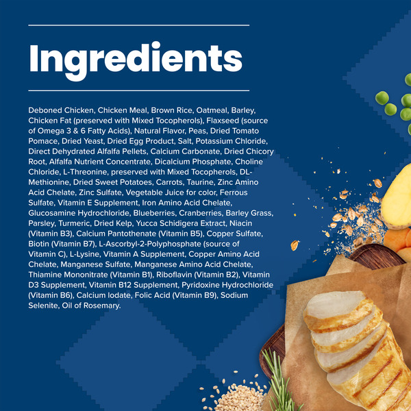 ContentPlus Image 4