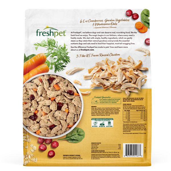 ContentPlus Image 7