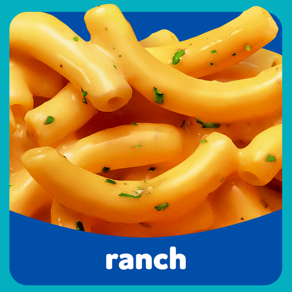 ContentPlus Image 2