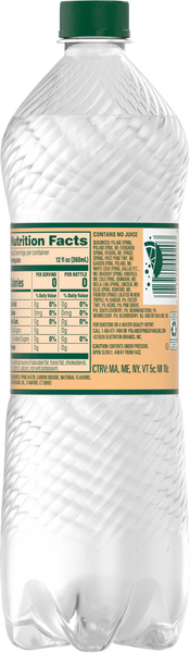 Back of Pack