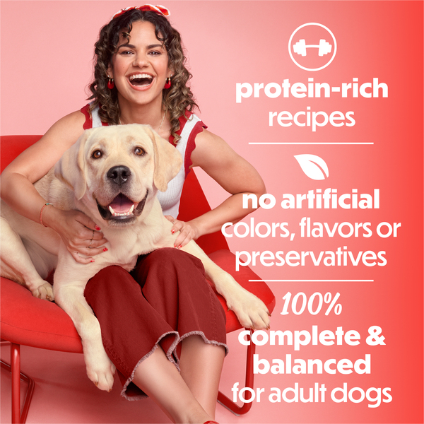 ContentPlus Image 4