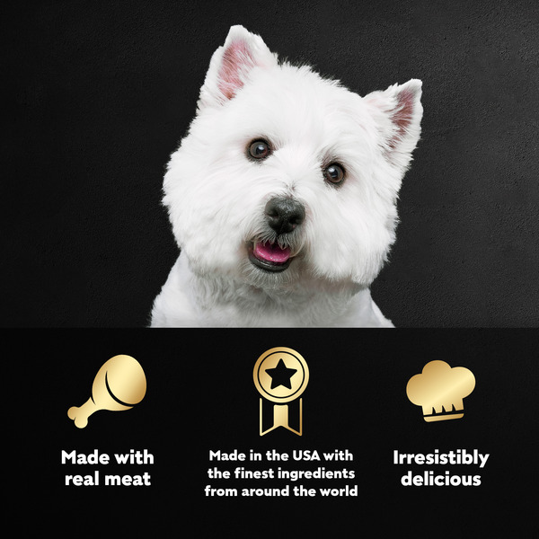 ContentPlus Image 3
