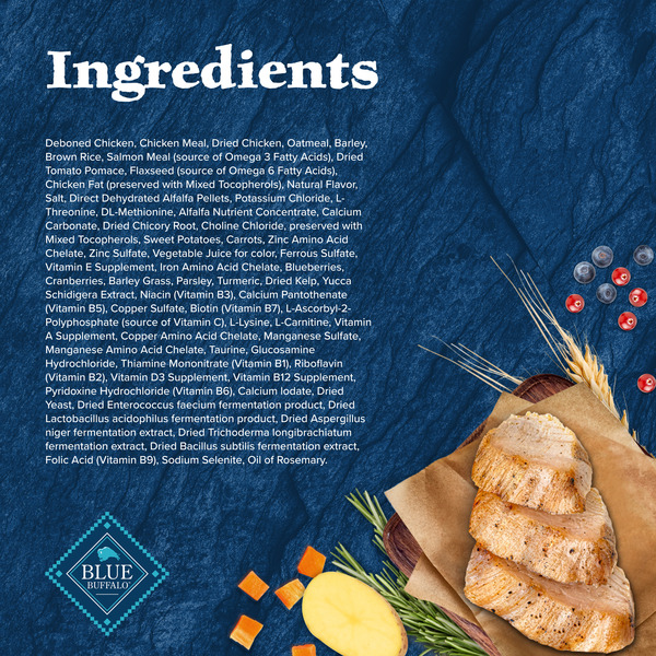 ContentPlus Image 4