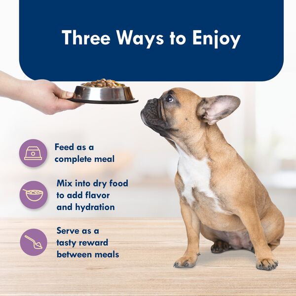 ContentPlus Image 6