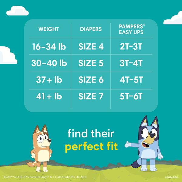 ContentPlus Image 4