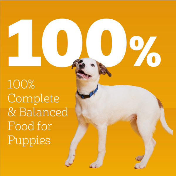 ContentPlus Image 3