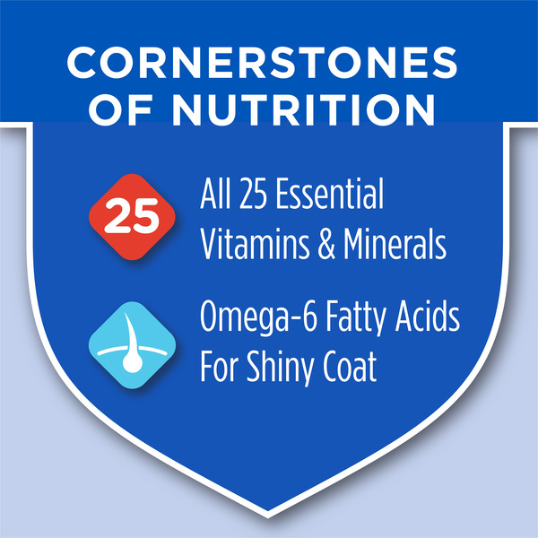 ContentPlus Image 4