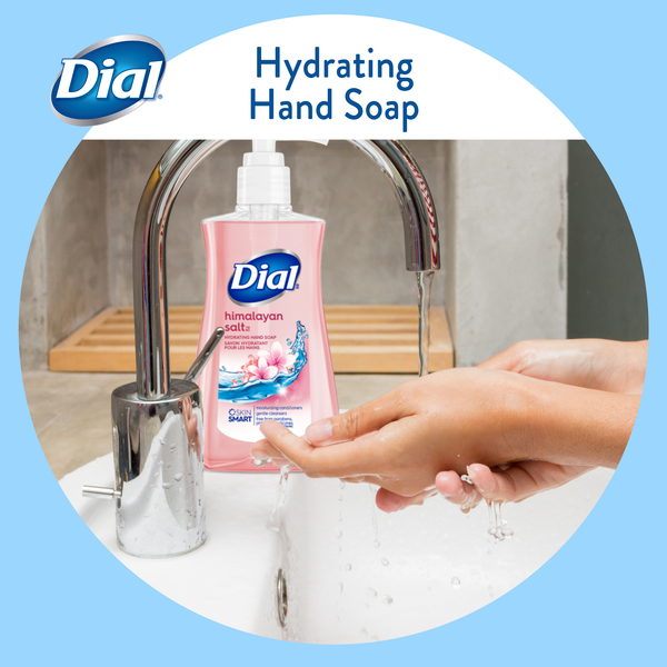Dial Hydrating Hand Soap Himalayan Salt Pump 7.5 oz btl GIANT
