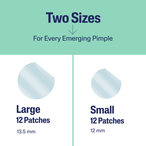 ContentPlus Image 7