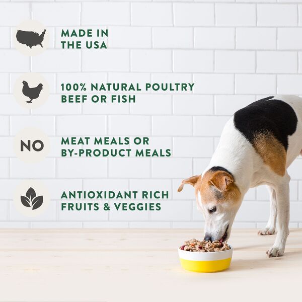 Freshpet dog joy chicken best sale treats